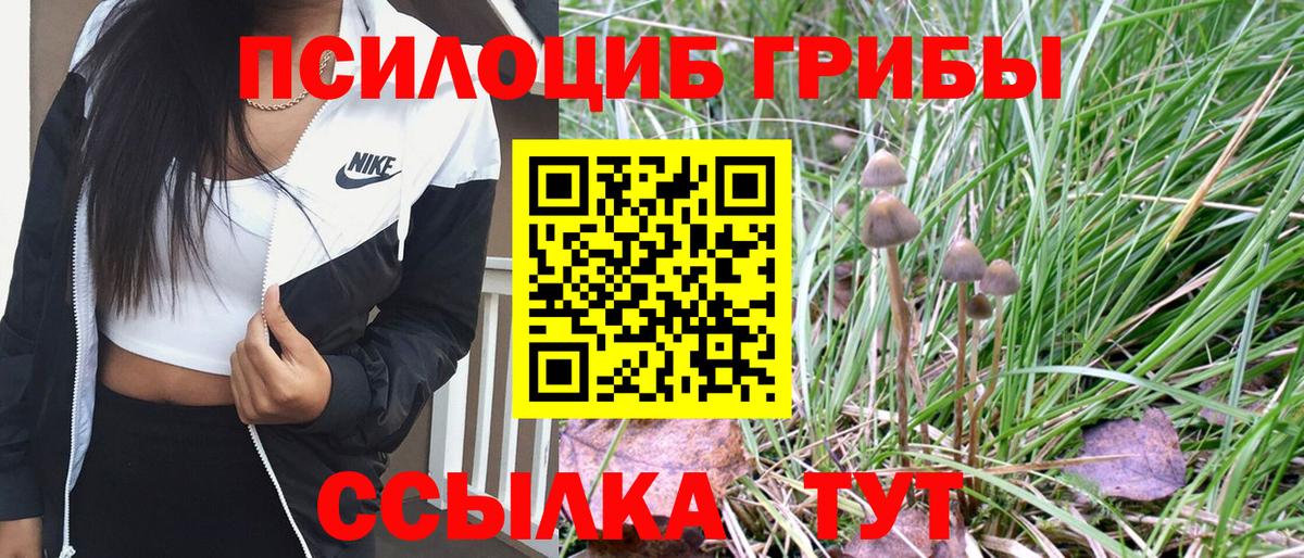 Псилоцибиновые грибы MAGIC MUSHROOMS  Галлюциногенные грибы ЛСД  как найти   Усть-Кут  Вход с VPN 